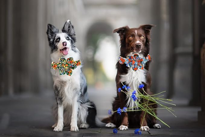 Lionheart Glory Floral Dog Collar - Image 6