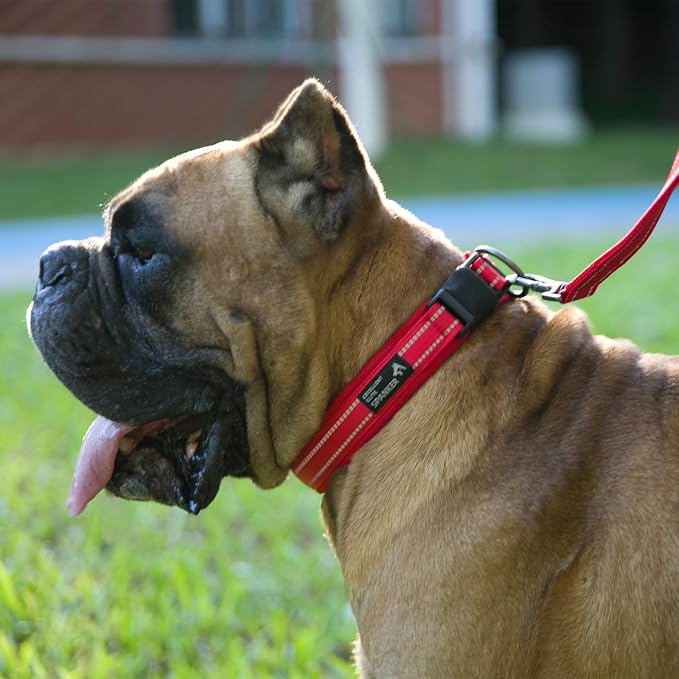 EXCELLENT ELITE SPANKER Reflective Dog Collar Classic Soft Padded Breathable - Image 9