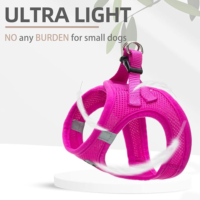 PUPTECK Adjustable Dog Harness Collar and Leash Set Step in No Pull Pet Harness - Image 5