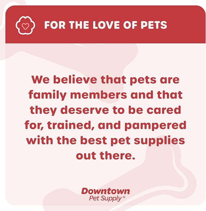 Downtown Pet Supply Step-in Dog Harness – No Pull, Adjustable Padded Mesh - Image 8