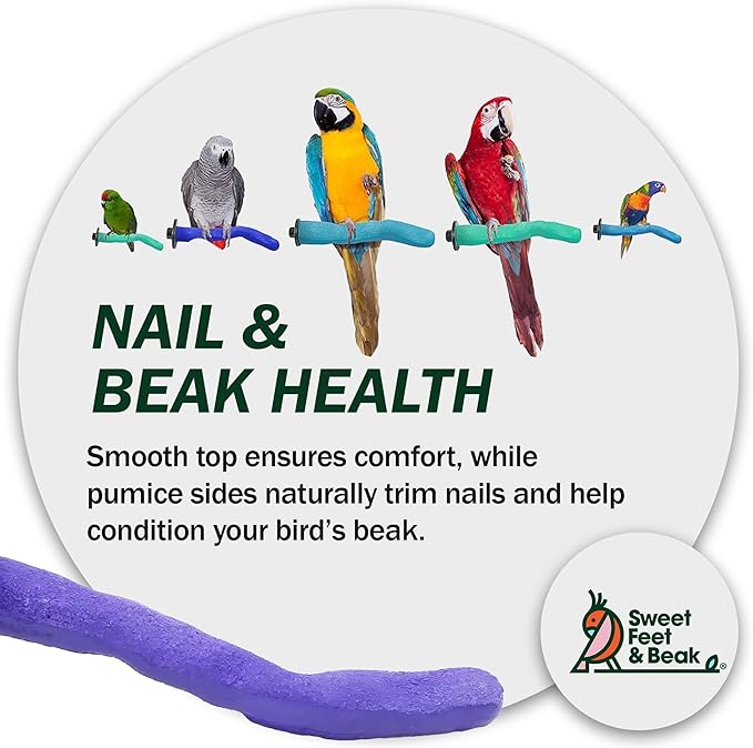 Sweet Feet and Beak Safety Pumice Perch - Image 8