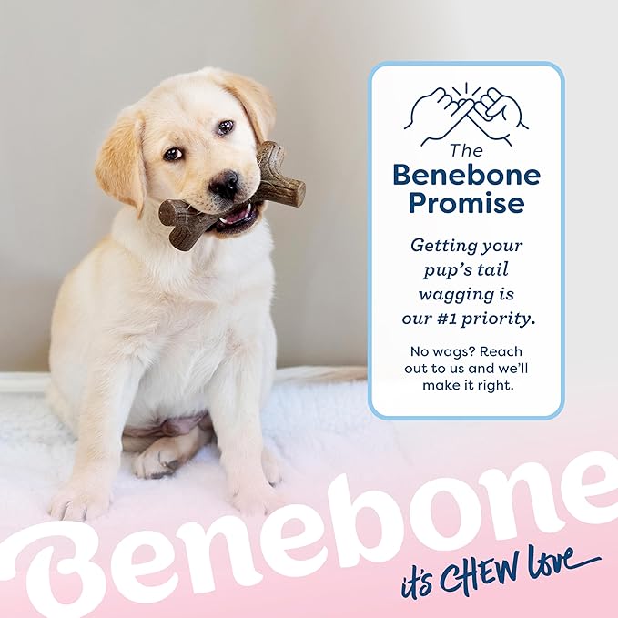 Benebone Puppy Maplestick Dog Chew Toy, Made in USA, Real Maple Wood Flavor - Image 6