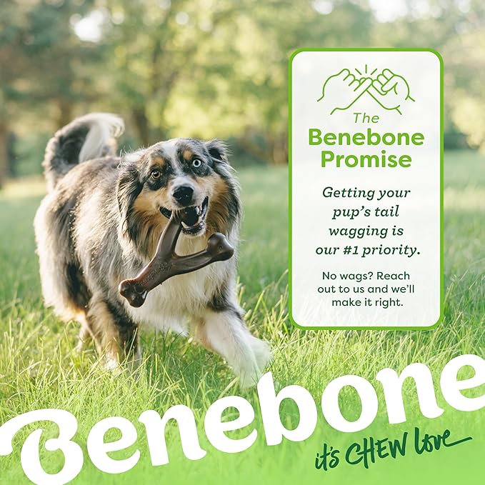 Medium 3-Pack, Benebone Wishbone Durable Dog Chew Toy - Image 6