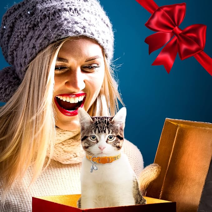 LLHK 2 Pack Breakaway Cat Collars & 2 Pcs Name Tags, Reflective Safety Kitten - Image 7