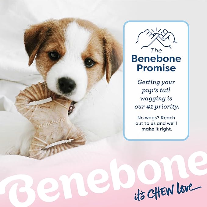 Benebone Puppy 2-Pack Dental Chew/Wishbone Real Chicken Tiny - Image 6