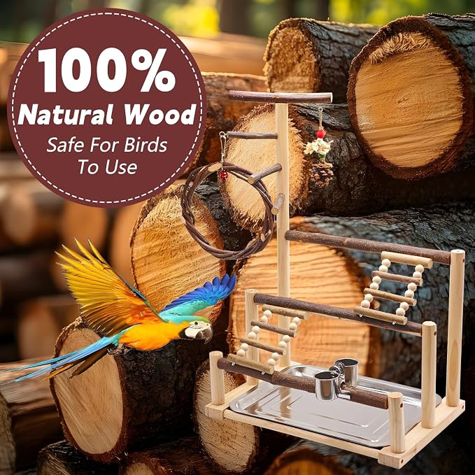 Bird Playground, Natural Wooden Parrot Stand - Image 7