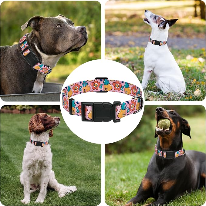 Dog Collar, Cute Cartoon Fruit Boys Girls Puppy Collar - Image 6