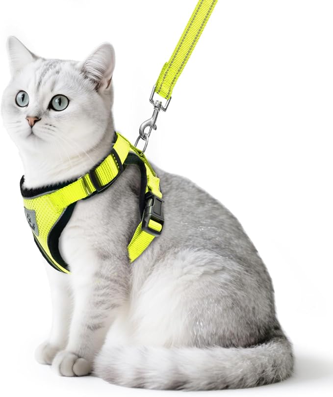 Collars