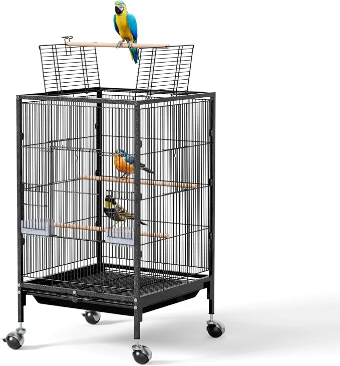 Birdcages