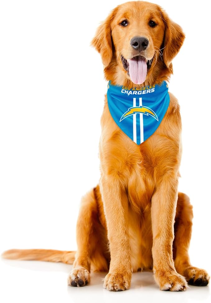 Pet Gear
