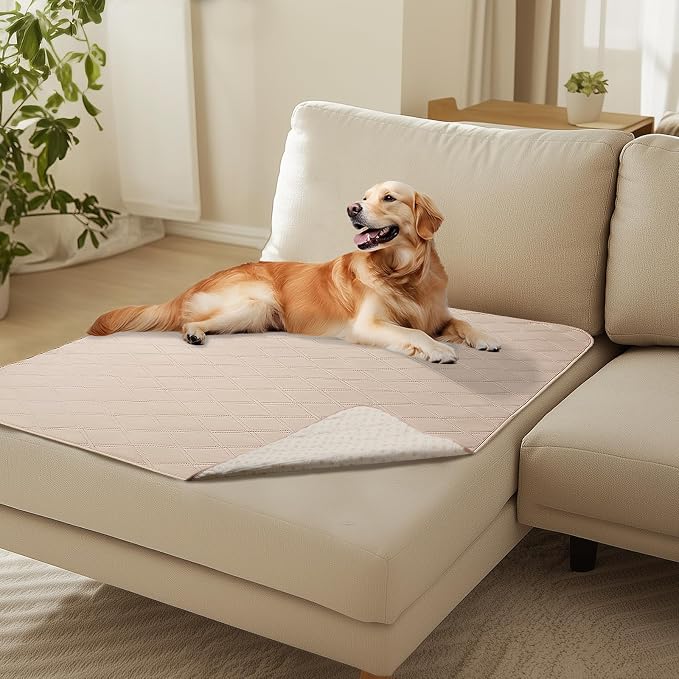 Beds & Furniture