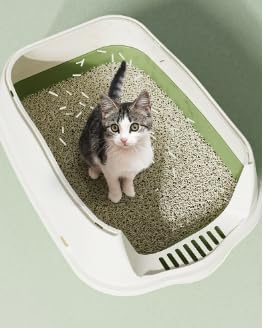 Large Covered Litter Box With Lid - Image 5