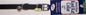 Kool Kat Elastic Cat Safety Collar by OmniPet%C2%AE
