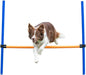 TRIXIE Agility Hurdle Adjustable Dog Jump, Dog Obstacle Course Equipment 1 x by TRIXIE