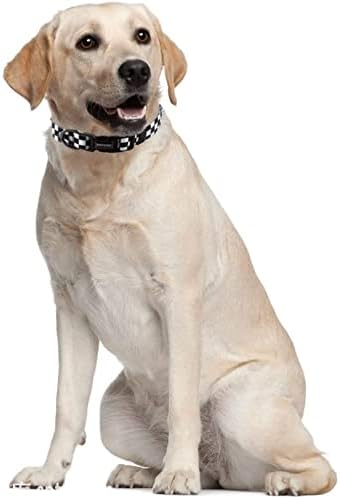 Roses&Poetry Dog Collar with Colourful Checkered Patterns, Adjustable Durable - Image 5