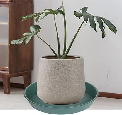 2 Pack of Bird Bath Bowl 12", 1.6" Depth, 10 12 inch Birdbath Bowls Dish Only - Image 6