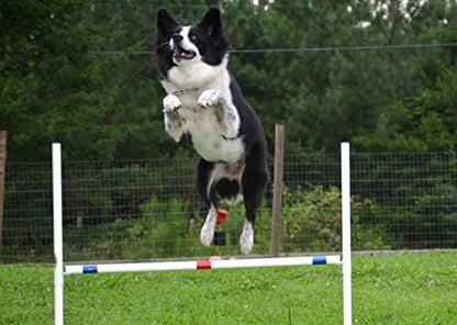 Dog Agility Travel Jump Set 4 Bar Jumps Total - Image 6