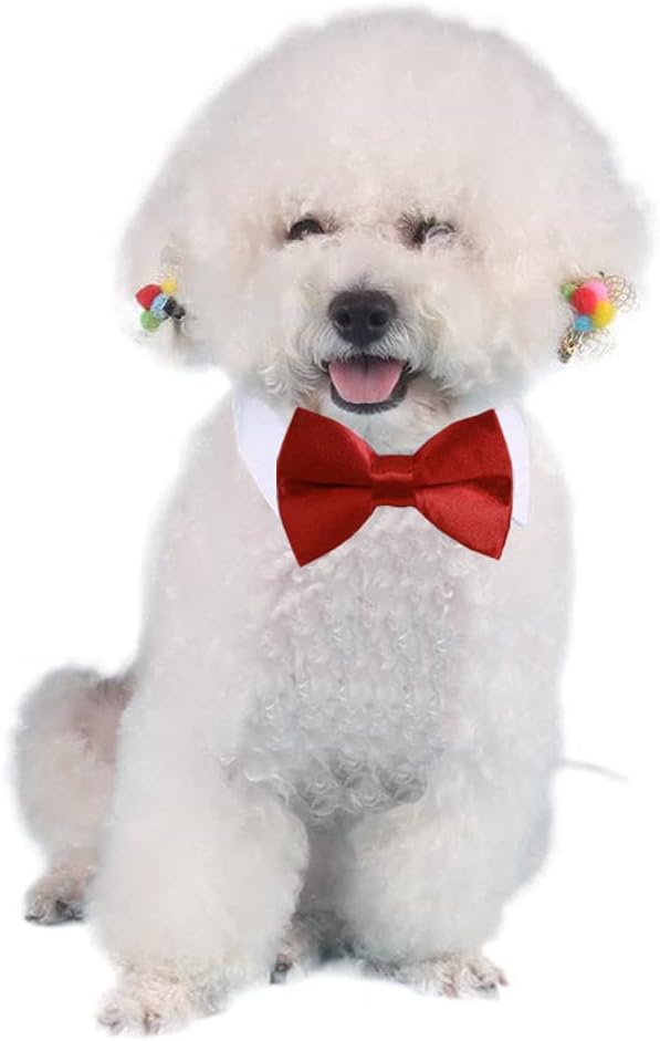 4 Pieces Pets Dog Cat Bowtie Pet Costume Adjustable Formal Necktie Collar - Image 6