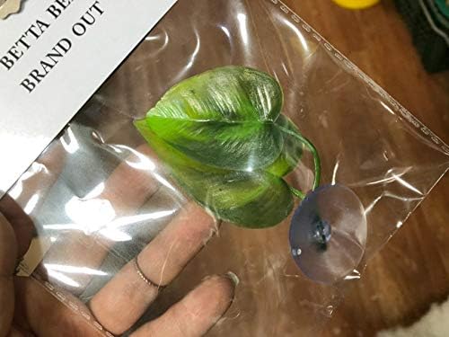 CousDUoBe 1 Pack Betta Fish Leaf Pad Improves Betta's Health by Simulating The - Image 6