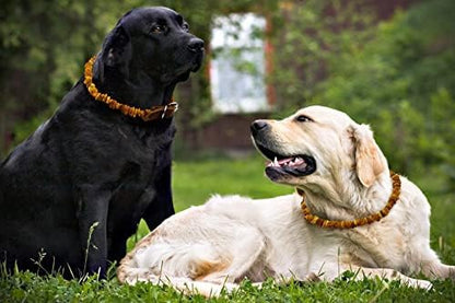 Baltic Amber Dog & Cat Collar - Image 7