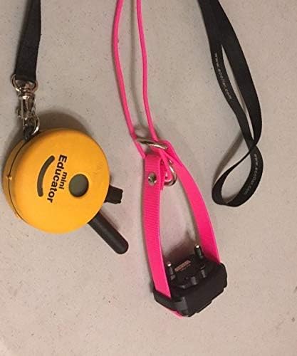 Sparky Pet Co - ECollar Replacement Strap - Bungee Dog Collar - Waterproof - - Image 6