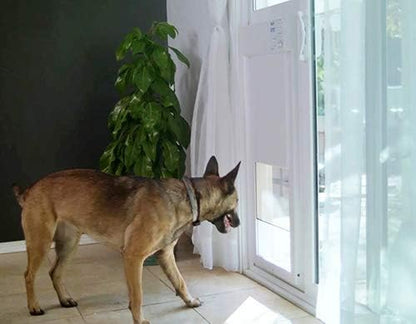 Power Pet Automatic Sliding Glass Patio Pet Door by High Tech Pet - Image 6