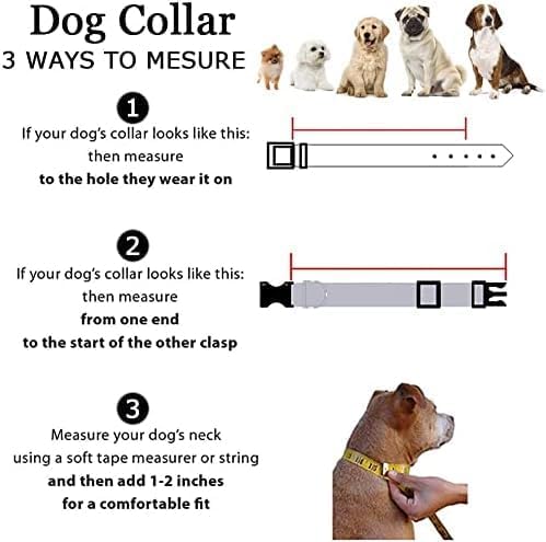 Roses&Poetry Reflective Dog Collar - Image 9