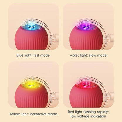Interactive Cat Toy, Electric DogBall Toy, Cat Toys - Image 2