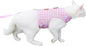 Cat Harness and Leash for Walking Escape Proof, Adjustable Cat Vest Harness by Yizhi+Miaow
