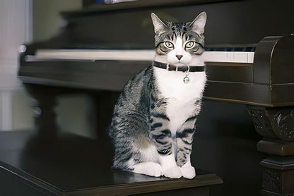 Red Kitten Collar with Bell, Soft Pu Leather Small Dog Collars Adjustable Buckle - Image 3
