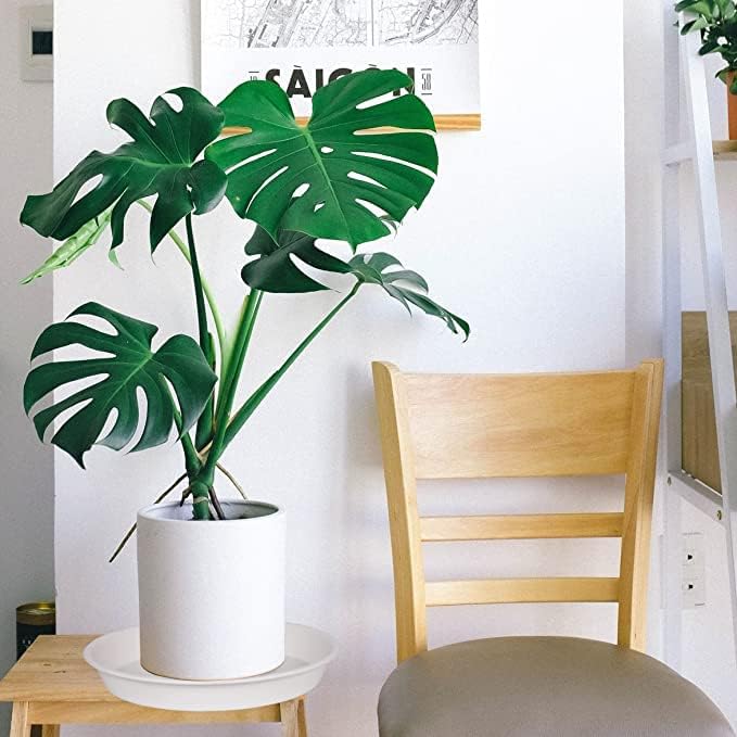 4 Pack of 14 inch Plant Saucers, Plant Saucer 14" Round, Plastic Plant Tray - Image 4
