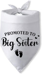 Promoted to Big Sister Pregnancy Announcement Dog Bandana Baby Gender Reveal by PwrlveiutforYou