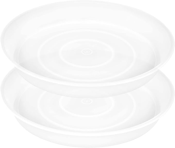 2 Pack of 12 inch Plant Saucer, 1.7" Depth Tray, Large Deep Garden Plastic by Bleuhome