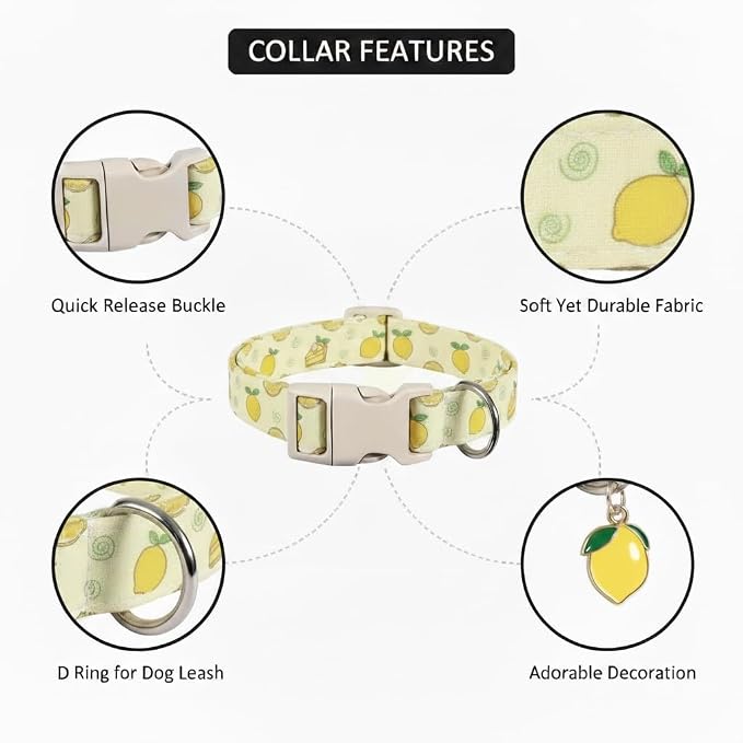 Dog Collar, Spring Summer Dog Collar - Image 3