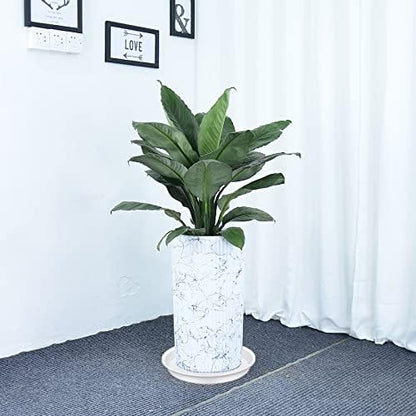 6 Pack of 12 inch Plant Saucer, Heavy Duty Plastic Plant Saucer 12" Round - Image 4