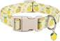 Dog Collar, Spring Summer Dog Collar by Britwicfr