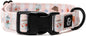 Lucy & Co. Sipping Slowly Dog Collar, Adjustable Durable Dog Collar by LucyCo