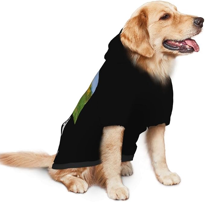 Personalized Dog Hoodie Customized - Image 3