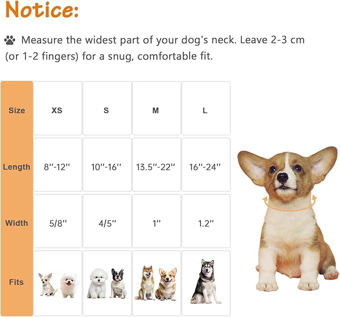 Dog Collar for Extra Small Dogs, Spring &Summer Theme Orange Small Dog Collars - Image 2