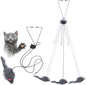 Kalimdor Interactive Cat Feather Toys, Retractable Teaser Toy ，Hanging by Kalimdor