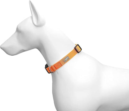 Dog Collar Orange Basic Adjustable Dog Collars - Image 4
