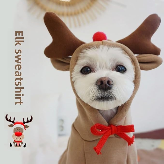 Warm Dog Winter Clothes Cute Fruit Dog Coat Hoodies Fleece Pet Dogs Costume - Image 2
