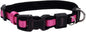 Coastal Pet - Coastal - Inspire Enhanced Core - Adjustable Collar by CoastalPet