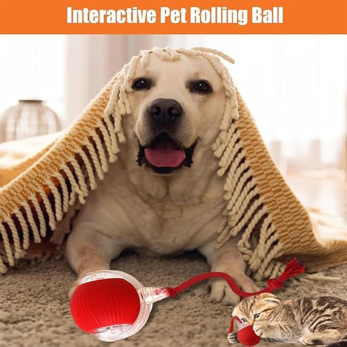 2 Packs New Electric Dog Ball Toy - Image 4