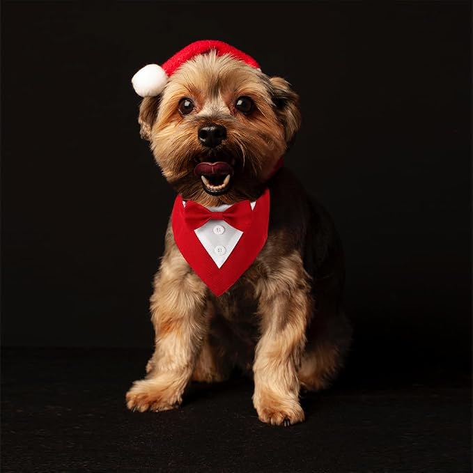 Dog Wedding Bandana, Formal Dog Tuxedo Adjustable Pet Collar - Image 6