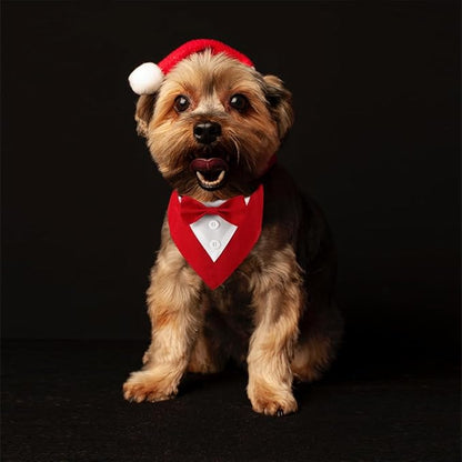 Formal Dog Tuxedo Adjustable Pet Collar - Image 4