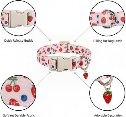 Small Dog Collar, Cute Dog Collar - Image 2