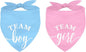 Whaline 2 Pack Gender Reveal Dog Bandana Team Boy Team Girl Triangle Pet Scarf by Whaline