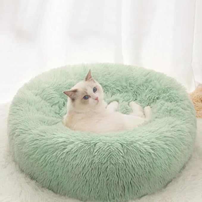 Cat Beds for Indoor Cats by Unknown