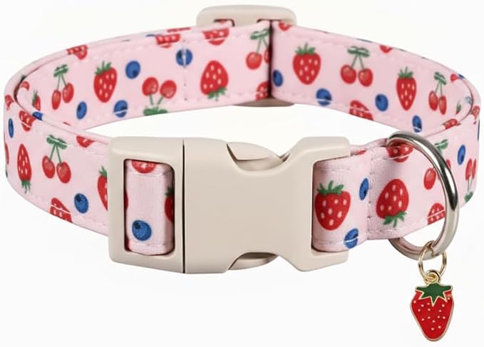 Pink Dog Collar, Female Dog Collar by Britwicfr